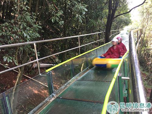 游客體驗玻璃叢林漂流