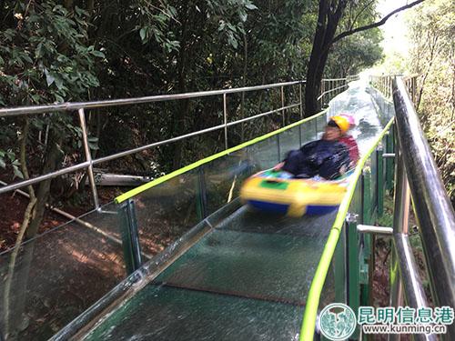 游客體驗玻璃叢林漂流1