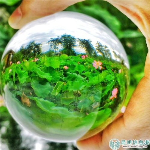 手機(jī)組一等獎:胡平華(作品:幻境荷花) 手機(jī)組一等獎:胡平華(作品:幻境荷花)