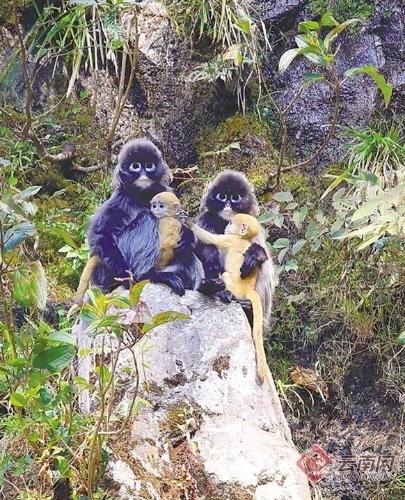 00300081813_6acdcce7 00300081813_6acdcce7