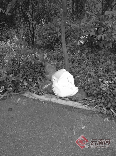 00300081816_519d2fb9 00300081816_519d2fb9