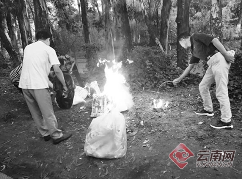 00300081817_5ee94397 00300081817_5ee94397