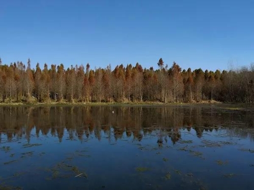 微信圖片_20180827151559