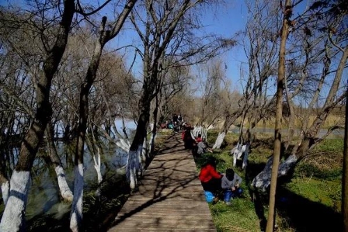 微信圖片_20180827151603