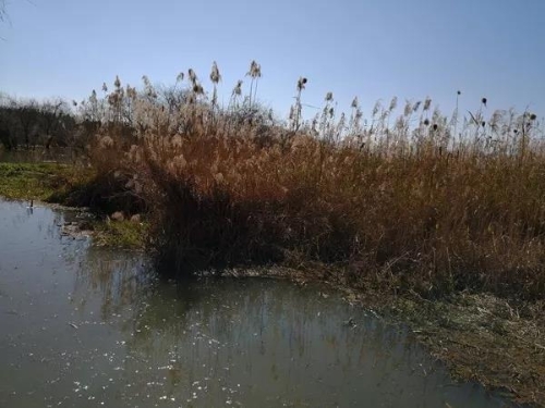 微信圖片_20180827151606