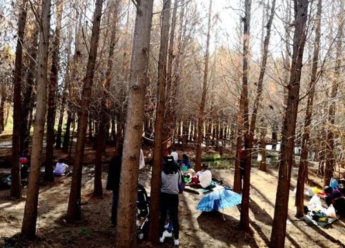 微信圖片_20180827151610