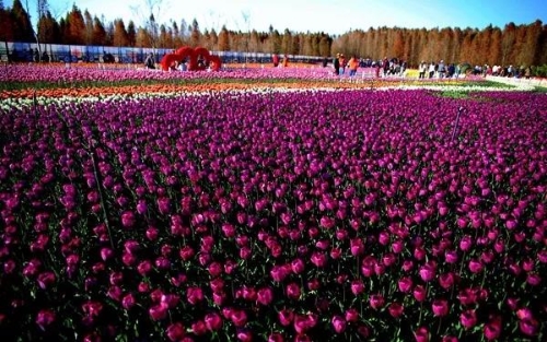 微信圖片_20180827151613