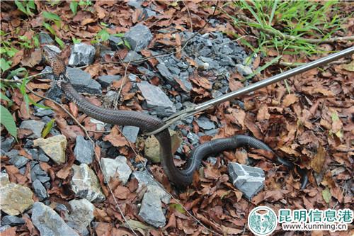 微信圖片_20180828174751