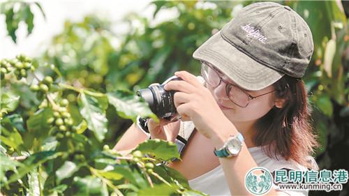 加美拍植物 加美拍植物