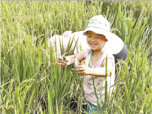QQ截圖20180830081301 QQ截圖20180830081301