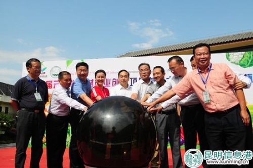 出席活動(dòng)的領(lǐng)導(dǎo)共同為啟動(dòng)儀式亮燈