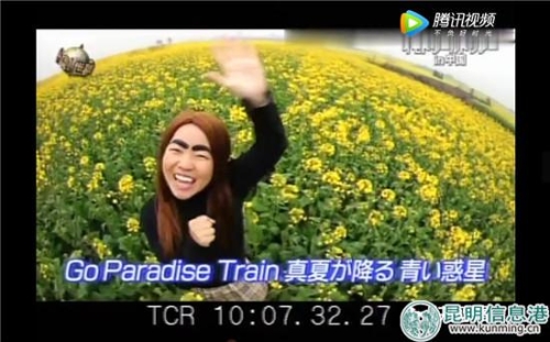 日本電視臺(tái)主持人在羅平油菜花田中唱歌。