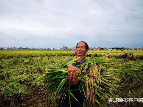 20180903073550B3MG6S 20180903073550B3MG6S