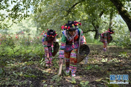 137438090_15358529832451n 137438090_15358529832451n