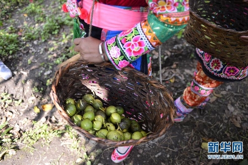 137438090_15358529832971n 137438090_15358529832971n