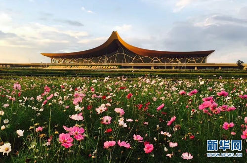 137433824_15357077951041n