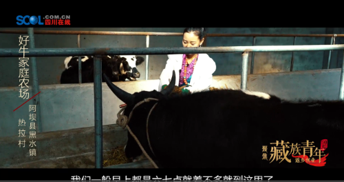 QQ截圖20180905173759