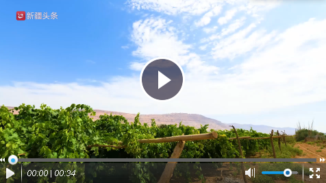 QQ截圖20180905174447 QQ截圖20180905174447