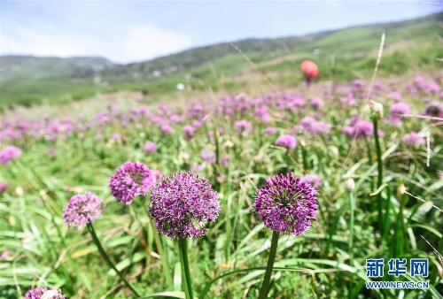 1123385237_15361451050601n 1123385237_15361451050601n