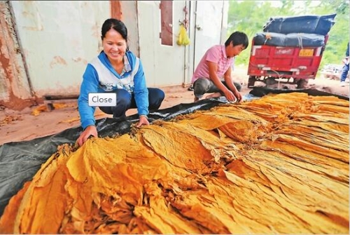 干群合力 干群合力