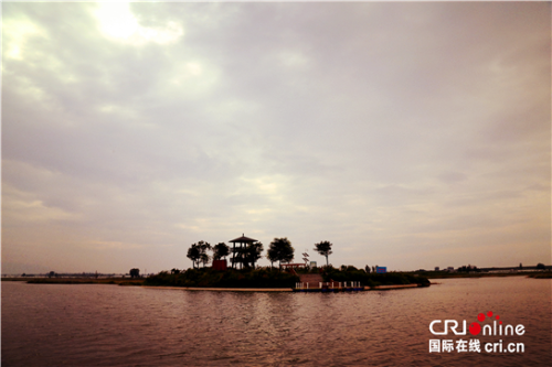 【壯美黃河 潤澤三秦】陜西大荔:鹽堿地的重生 【壯美黃河 潤澤三秦】陜西大荔:鹽堿地的重生