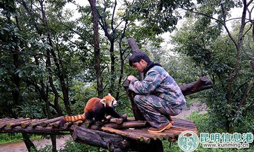 圖片2：工作人員與蟲蟲。