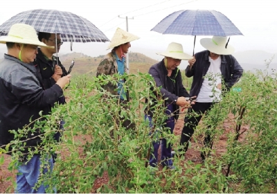 res04_attpic_brief res04_attpic_brief