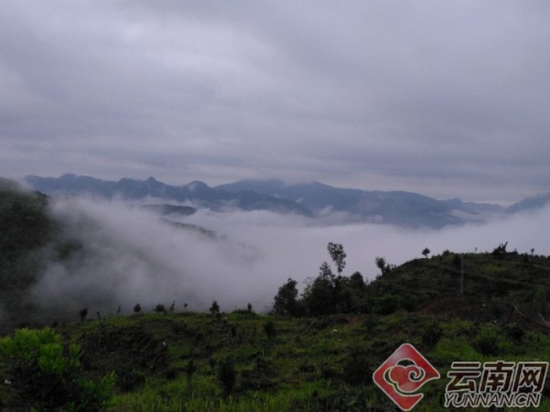 00300107808_1c3bd2f2 00300107808_1c3bd2f2