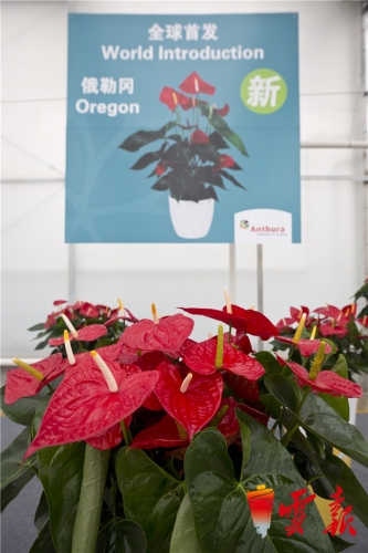 20180914071355698 20180914071355698