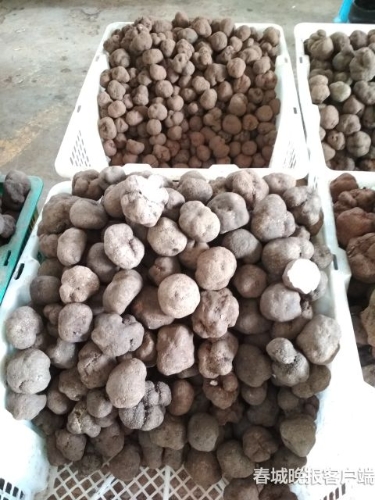 20180914194432SUIS12