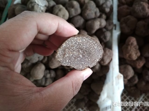 20180914194432UK0WIG