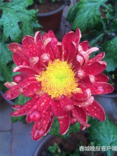 20180914185615C3D9AD 20180914185615C3D9AD