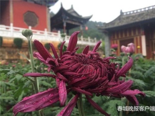 2018091418561479WBXA 2018091418561479WBXA