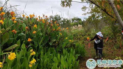 一個家庭正在拍攝濕地植物。劉璐璐攝