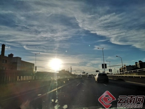 00300110993_6c31b1a8 00300110993_6c31b1a8