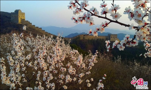 cc550065-8967-4665-ad66-56df8e9ba868_batchwm cc550065-8967-4665-ad66-56df8e9ba868_batchwm