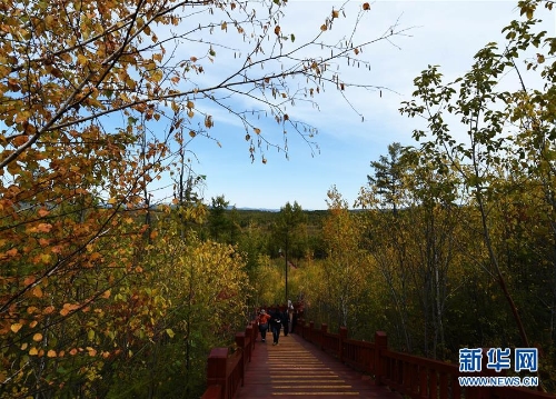 129954112_15370115019121n