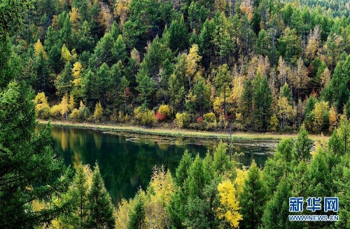 129954112_15370115021001n