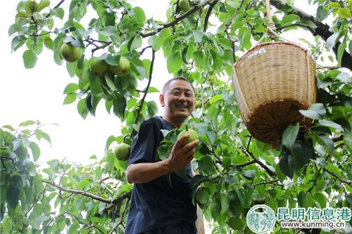 圖2：市民可邊采摘邊游覽萬溪沖風(fēng)光。