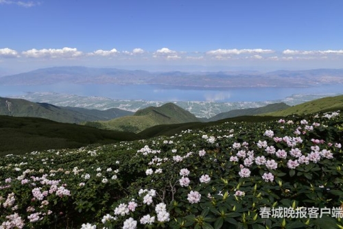 微信圖片_20180919152853