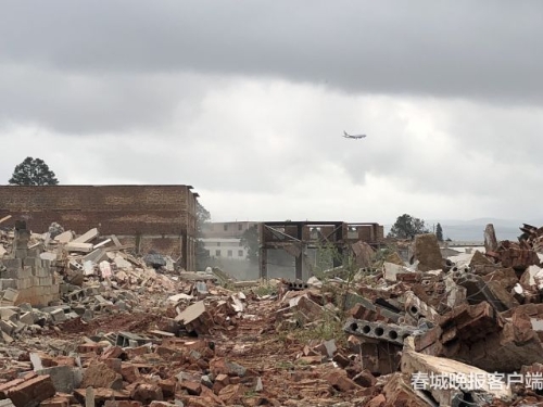 184906_500x500 184906_500x500