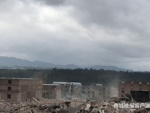 184909_500x500 184909_500x500