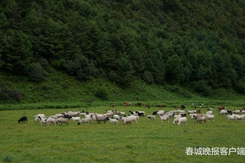 微信圖片_20180920093533 微信圖片_20180920093533