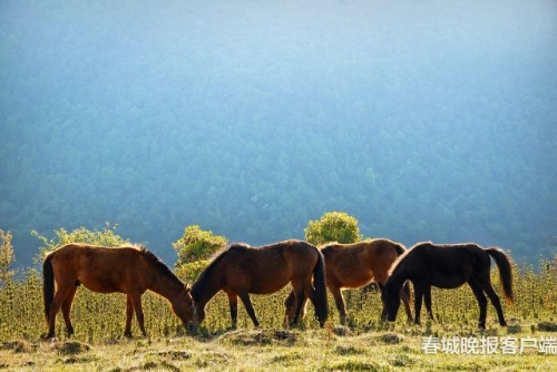 微信圖片_20180920093536 微信圖片_20180920093536