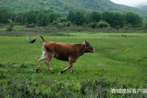 微信圖片_20180920093539 微信圖片_20180920093539