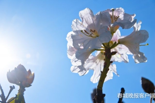 微信圖片_20180920093542 微信圖片_20180920093542