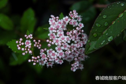 微信圖片_20180920093545 微信圖片_20180920093545