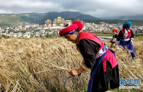 137479551_15374086512481n 137479551_15374086512481n