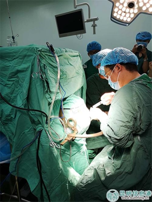 手術(shù)進(jìn)行中。供圖