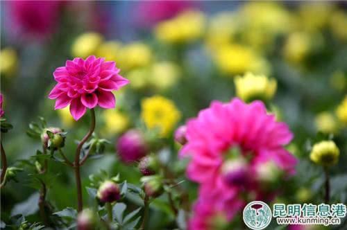 webwxgetmsgimg (1) webwxgetmsgimg (1)